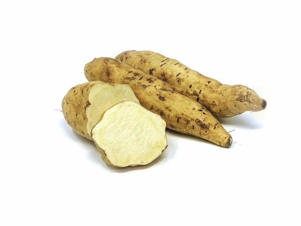 BATATA BLANCA