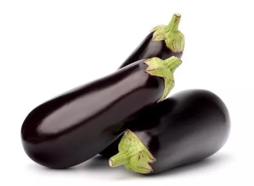 BERENJENA