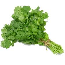 ATADO DE CILANTRO