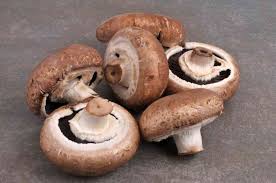 HONGOS PORTOBELLO