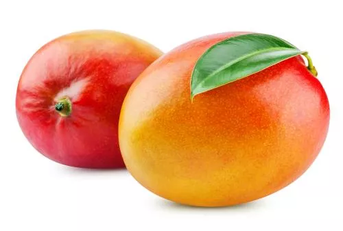 MANGO DE 1ERA