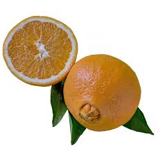 NARANJA OMBLIGO