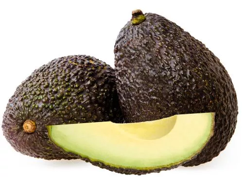 PALTA HASS INTERMEDIA