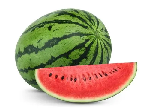 SANDIA X KGS