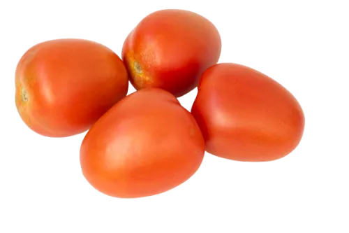 TOMATE PERITA N1