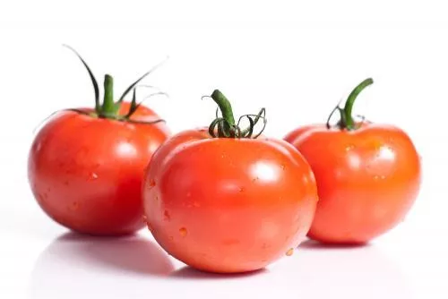 TOMATE REDONDO N1