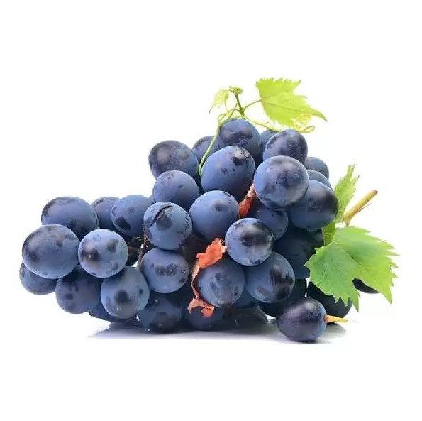 UVA NEGRA