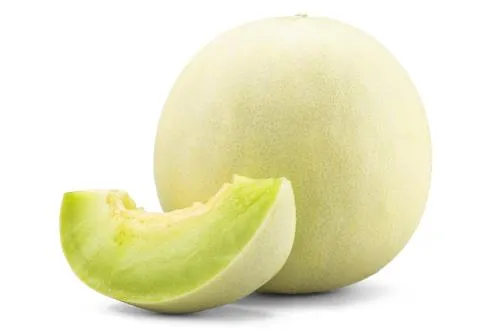 MELON ESCRITO